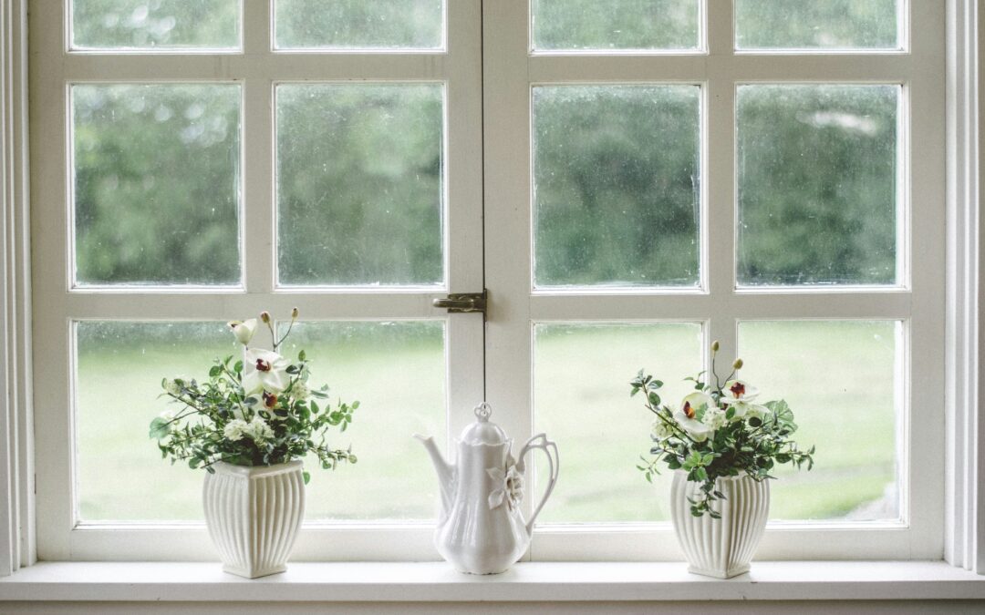 Window of Tolerance: Understanding Your Nervous System