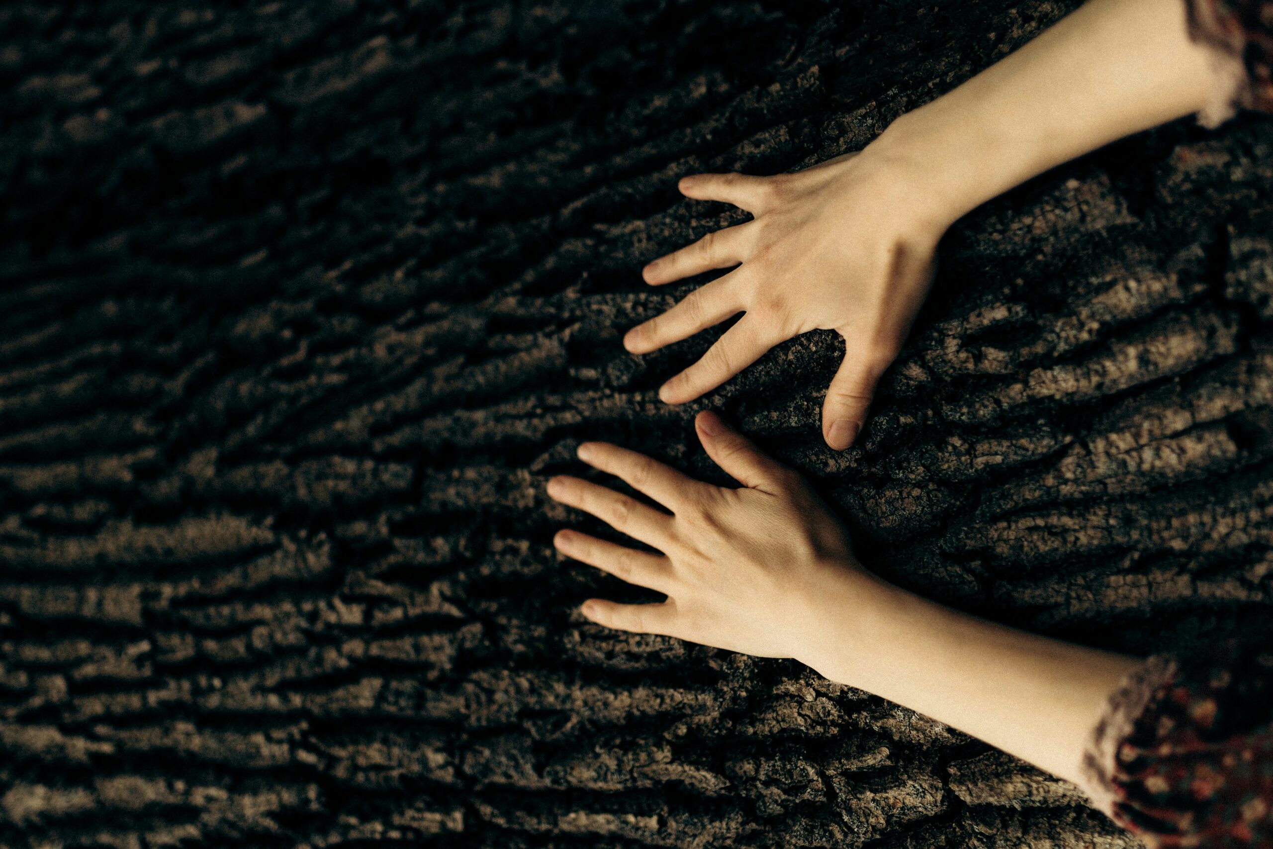 Hands resting on tree bark symbolize sensory grounding and connection — powerful tools in trauma recovery. This image reflects how Ignite Counselling uses somatic‑informed approaches to help clients regulate their nervous system, reconnect with their body, and feel supported in healing trauma responses.