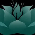 Ignite Counselling & Consulting